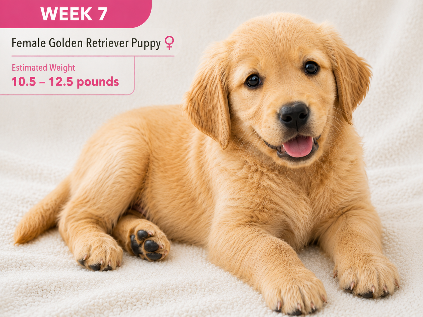 week_7