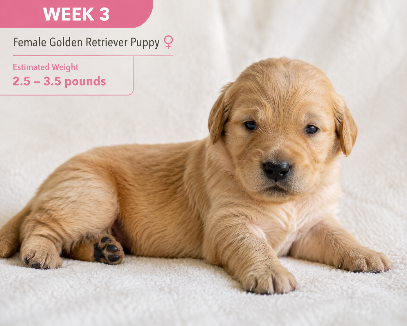 week_3