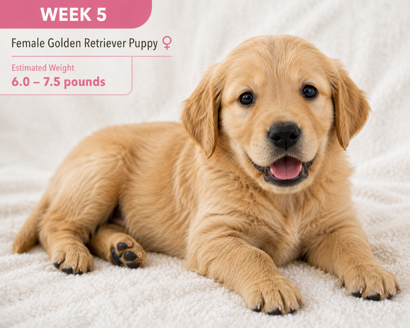 week_5