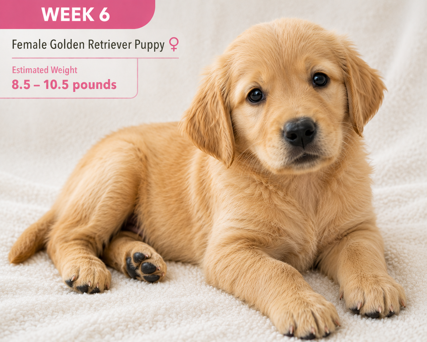 week_6