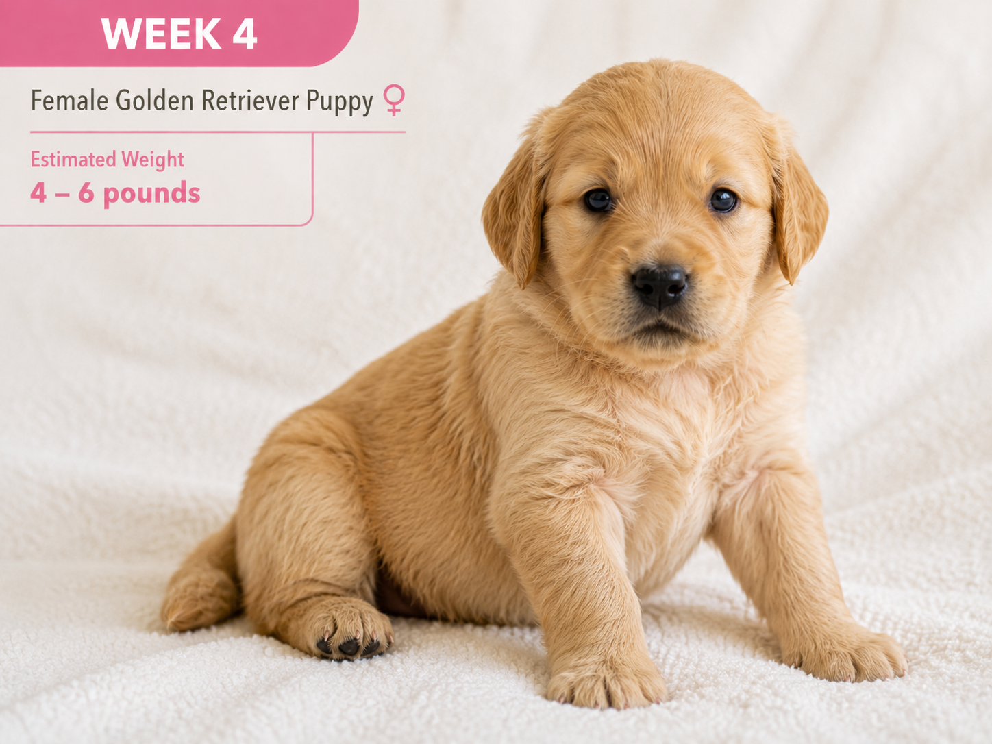 week_4